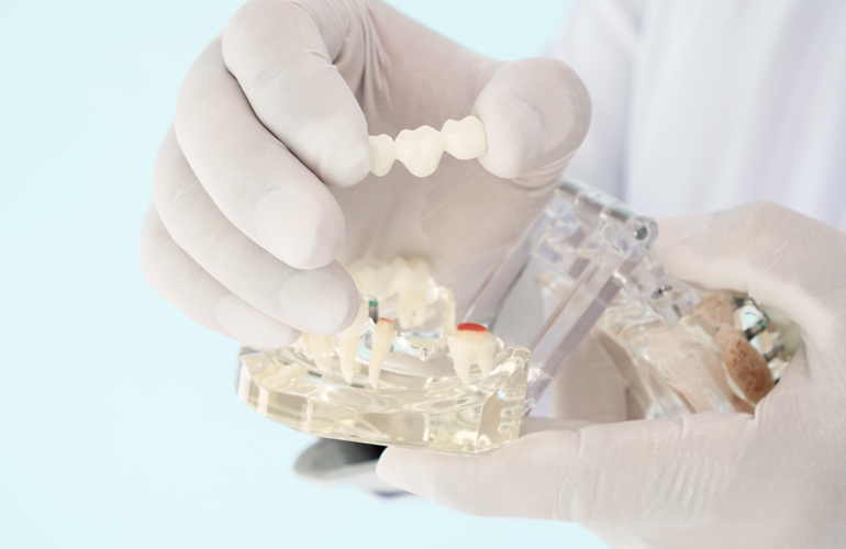 general, cosmetic, periodontal, orthodontic, emergency treatment, dentist, dentistry, dulmage dental arts building, dunnville